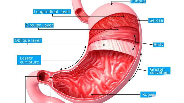 3fb8a388-32b2-eb11-8daf-e4434bdf6706.jpg